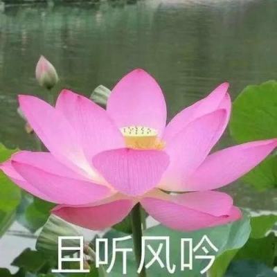 无双西游手游正版下载